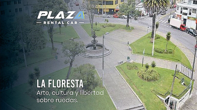 renta_de_autos